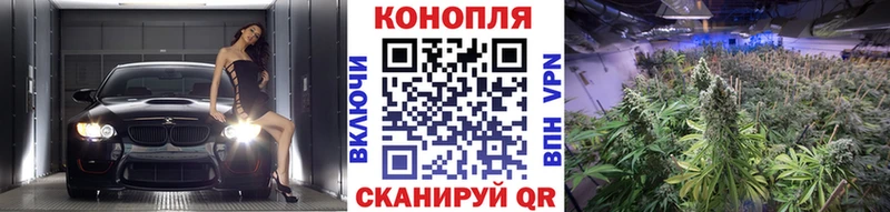 Какие есть наркотики Вилюйск Амфетамин  Конопля  Меф мяу мяу  ГАШИШ  Кокаин  СОЛЬ 