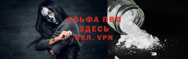крисы Абаза