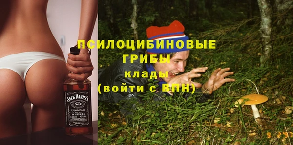 ECSTASY Пересвет