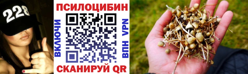 Псилоцибиновые грибы мицелий Вилюйск